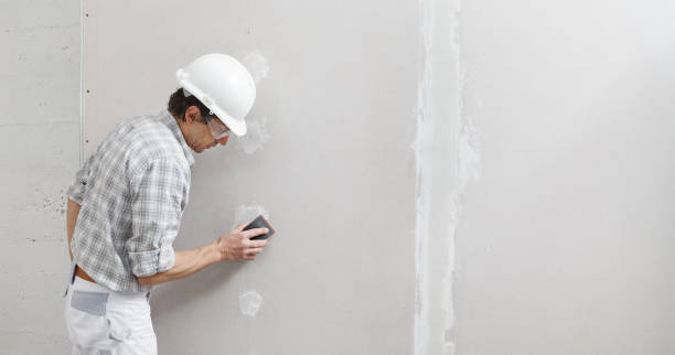 Best Mold Removal for HVAC Installations  in Valley View, OH