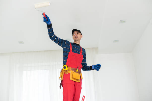 Best Environmental Consulting for Mold Prevention  in Valley View, OH