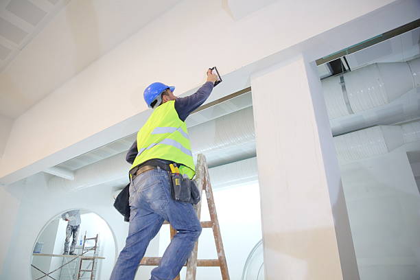 Best Real Estate Mold Inspection  in Valley View, OH