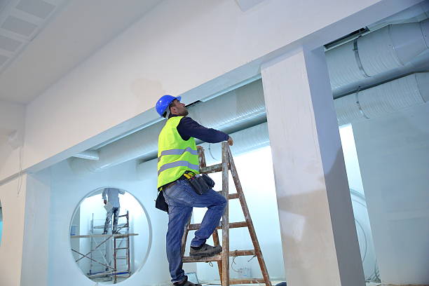 Best Emergency Mold Remediation  in Valley View, OH